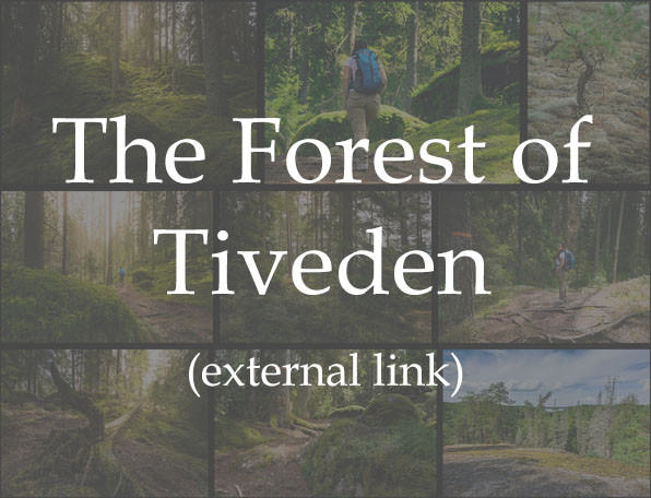The Forest of Tiveden